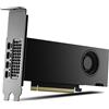 PNY scheda video RTX 2000 Ada 16 GB GDDR6 128 Bit PCIe 4.0