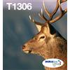 EPSON Multipack 3-colours T1306 EasyMail
