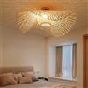 HYQJUNE Plafoniera vintage rattan Plafoniera tonda bambù retrò Lampada soffitto vimini camera letto Soggiorno sospensione Sala studio Balcone Corridoio d'ingresso Apparecchio[Classe energetica A ++],65cm
