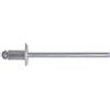 nextradeitalia 10PZ CONFEZIONE RIVETTI ALLUNGABILE 4,8X10 DA PZ.1000