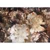 murando PREMIUM Carta da parati Floreale Fiori 500x350 cm Fotomurali in TNT Murale alla moda Decorazione da Muro XXL Poster Gigante Design Carta per pareti pivoine Natura Orient grigio b-A-0738-a-a