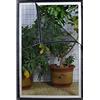 MAODOU 80x140cm,Zanzariera Per Finestra,Zanzariera Con Nastro Magico Protezione Zanzara, Adesivo nero garza nera