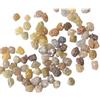 Gems For Jewels Gemme per gioielli Diamanti grezzi multicolore sciolti 3-4 mm Diamanti grezzi non tagliati misti, diamanti grezzi gialli, rossi, marroni, bianchi, grigi per gioielli - PDD702
