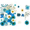 Ulalaza 35pz Fiori secchi pressati Foglie Candele di colore fai-da-te naturali reali Ciondoli di gioielli in resina decorativa artistico Cassa del telefono per unghie Trucco facciale