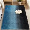 CUIMEI Tappeti Camera da Letto 170 x 230 cm, Facile da Pulire, Assorbente Alta Densità di Pelo, Varie Misure e Colori, Tappeto a Pelo Corto Tappeto, Blu