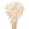 QUARKZMAN 120pz Coda di Coniglio Naturale Fiori Secchi 43cm Mini Erba di Pampa per Decorazioni Floreali Matrimonio Natale, Bianco