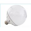 LEDLUX Lampada LED E27 Globo Opaca Sfera G120 20W=220W Bianco Caldo 3000K