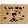 fashwork Tappeto PERSONALIZZATO con nome cane divertente Pincher Perchè bussi? Zerbino in poliestere 60x40 cm Idea Regalo