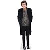 Celebrity Cutouts Harry E. Styles (2013) a grandezza naturale