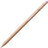 Caran d'Ache Luminance 6901 Colour Pencil 862 Bt Sienna 10%