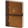 Pyramid International AMBROSIANA Quaderno Newt Scamander Premium