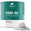 Nature's Finest KSM-66 Ashwagandha® con Ginseng, Camomilla e Complesso