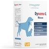 DYNAMOPET |Dynamo L Medium - Alimento Complementare per le Difese dell'Organismo di Cani che vivono in Aree Calde e Umide, 20 Stick da 10 g, uno Stick ogni 20 kg di Peso dell'Animale