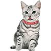 YASTA Collare Per Cani Gatti Piccola Taglia Con Strass Campanellino 30cm Regolabile