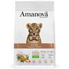 Amanova Cibo Secco Super Premium per Gattini Gusto Pollo - 100% Naturale, ipoallergenico e monoproteico - Cruelty Free - Formato da 300 g