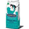 WINNER PLUS Salmon Mini holistic 2 kg - A base di salmone, alternativa ipoallergenica alla carne