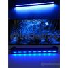 OISE ART STORE Trade Shop - Lampada Immersione LED per Acquario Tubo LED T4 Dee Luce Pesci Bianca RGB Blu Blu 40 Cm -