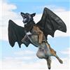 Onmygogo Costumi divertenti da pipistrello per cani, adorabili abiti per animali domestici pelosi per Halloween (ali da pipistrello nere, taglia L)