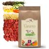 Terra Canis Manzo, verdura e frutta, Canireo crocchette per cani, 5kg | Materie prime di qualità alimentare al 100%, 64% di carne fresca, preparazione delicata, senza cereali e glutine
