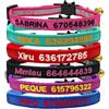 SF Custom Collare per gatti personalizzabile, in nylon, staccabile, con nome dell'animale domestico e numero di telefono, regolabile con campanello (fibbia staccabile)