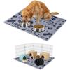 NEO SOLVO Tappeto 60 x 50 cm, assorbente, impermeabile, antiscivolo, per cani, conigli, porcellini d'India, gatto, sotto la ciotola, per imparare la pulizia, davanti alla lettiera, fondo della gabbia