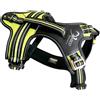 Axaeco Pettorina 4 Season Fit (M)