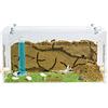 AntHouse - Formicaio Naturale di Sabbia | Kit Inizio Acrilico 20x10x10 cm | Formiche Incluse con Regina