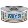 Generico VetLife Scatoletta Gatto 85gr (Convalescence)