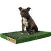 GreenInBox® XL Zolla in Vera Erba per Cani - Lettiera Naturale per Training Cucciolo e Cani in Appartamento, Taglia Grande 60x80 cm