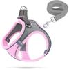 FIETODK Pettorina per cani e cuccioli, pettorinare imbracatura luminosa con guinzaglio (rosa, M)