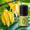 Primavera BIO oli per aromaterapia da 5 ml