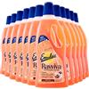 Emulsio Ravviva Cotto Detergente Pavimenti per Cotto Tradizionale o Moderno Ardesia Pietre Naturali Porose Formula Protettiva Profumo di Fiori Bianchi e Violetta a Lunga Durata - 12 Flaconi da 750ml