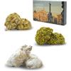 BRICIOLIAMO... [ 10 kg. ] - Paste di Mandorla Artigianali Fresche - MANDORLA 40% - 6 GUSTI DISPONIBILI/BOX MISTO - Dolci Tipici Siciliani, Prodotte in Sicilia. (BOX MISTO, BOX | 10 kg)