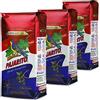Yerbee Pajarito Yerba Mate Tè Menta Premium 1.5 kg (3 x 500g) | Set Mate Paraguay | Bevanda disintossicante ed energetica