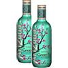 Poiget Arizona Original Green Tea with Honey/Té Verde Originale con Miele - 2 x 1500 ml.