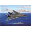 Hobbyboss 1:48 - F-14B Tomcat - HBB80367