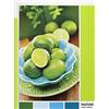 Clementoni - 39492 - Pantone Collection Puzzle - Lime Punch - 1000 pezzi