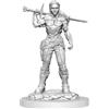 WizKids - D&D Nolzurs Marvelous Miniatures: Orc Fighter Female - Wave 20