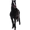 EHJRE Figure Modello Cavallo Animale 1/6 per Figure da 12 Pollici, Nero
