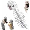YUNFAN Costume Da Scheletro Dinosauro Peluche,Set Costumi Scheletro Dinosauro Realistico,Costume Dinosa-Uro Peluche Spinosaurus 3d,Copricapo Con Teschio E Spina Dorsale Per Cosplay Halloween(Grande)