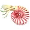 SUPVOX Riproduzione Realistica di Nautilus Giocattolo Educativo in Plastica per Ragazzo Ragazza, Decorazione per Acquario e Marino