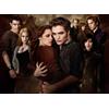 WDZFF Film Bloodlusts Twilights Immagine Poster - Puzzle 1000 Pezzi - Per Giocattoli Sfida Personalizzati Per Adulti - Decorazione Artistica Da Parete Fw91Zw