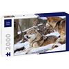 Lais Puzzle 2 Lupi nella Neve 2000 Pezzi