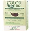 Colorerbe Tintura COLOR ERBE Bio Rosso Henne' (7.66)