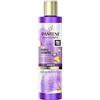 Pantene Miracles Shampoo Viola