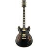 Ibanez John Scofield JSM20-BKL Black Low Gloss - Chitarra semiacustica