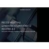 YOUCANPRINT Processi industriali. Dall'industria 4.0 all'industria 5.0. Dalla quarta rivoluzione industriale all'ultima rivoluzione industriale