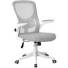Brigros WeHome - Sedia da Ufficio Ergonomica Vivi in Rete Traspirante con Supporto Lombare, Girevole e Regolabile in Altezza con Braccioli Inclinabili, Base con Ruote, Grigio