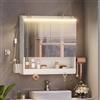 HEXCELEN Specchio Bagno Contenitore con Illuminazione a LED, Mobiletto a Specchio porta Asciugacapelli e Ganci, Ripiani Regolabili, Bianco, 15 x 60 x 63,5 cm
