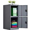 MECOLOR Armadietto verticale piccolo a piano con lucchetto, porta in plastica, 2 o 3 scomparti, per dipendenti, famiglie, uffici, scuole e supermercati (GY, P2V)